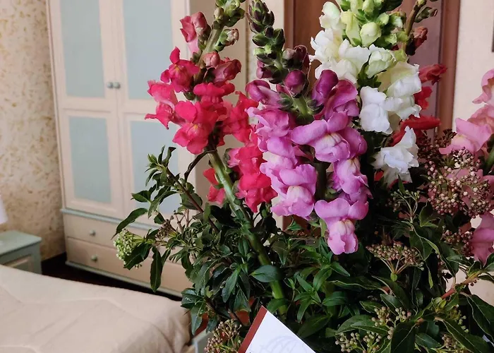 St. Peter's Pensión